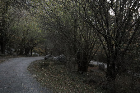 A road in a forgotten villageの写真素材