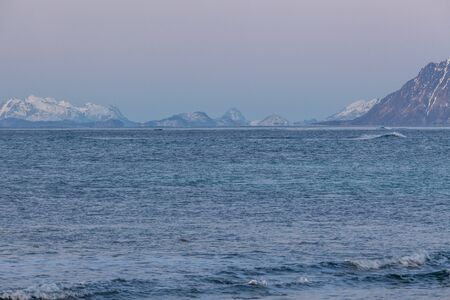Lofoten islands, Norway. Colorful winter landscape in blue hours. . Snowy mountains in background.
