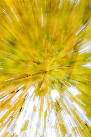 Abstract photo, forest in autumn photographed with different effects of motion and zoom. Colorful textured background. long shutter speed.の写真素材