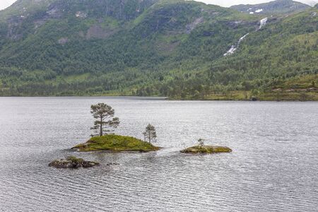 Small islands with pine trees growing on them in the Norwegianlake. selective focus.