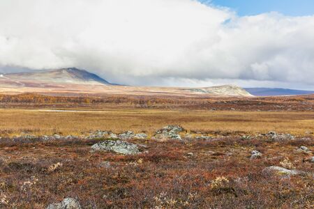 View of the valley. Northern Sweden, Sarek National Park in stormy weather in autumn. selective focusの写真素材