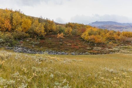 View of the valley. Northern Sweden, Sarek National Park in stormy weather. selective focusの写真素材