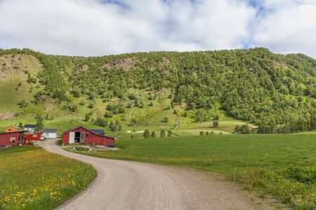 Summer travel in beautiful Norway. Travel weekend, vacation. Scandinavian countries, selective focus.の写真素材