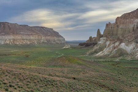 The Ustyurt Plateau. District of Boszhir. The bottom of a dry ocean Tethys. Kazakhstan. selective focusの写真素材