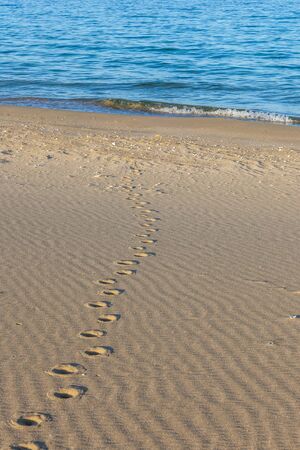 Traces of animals in the sand. Sand texture. Sandy beach for background. Top view. selective focusの写真素材