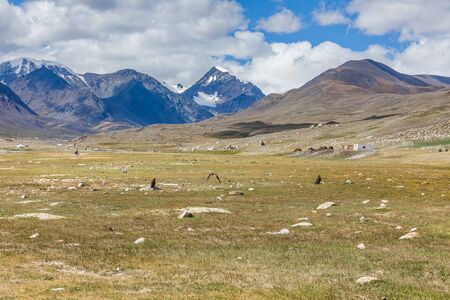 Mongolian landscapes in the Altai Mountains, wide landscape.の写真素材