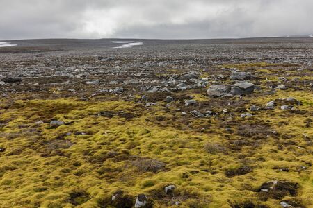 Beautiful wild nature of Sarek national park in Sweden Lapland with snow capped mountain peaks, river and lake, birch and spruce tree forest. Early autumn colors in stormy weather. selective focusの写真素材