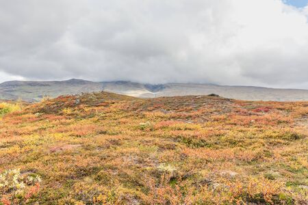 Mountains of Sarek National Park in Lapland, autumn, Sweden, selective focusの写真素材