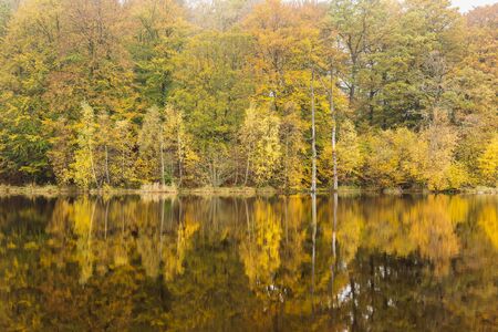 Small forest lake on a sunny autumn morning in Soderasen national park, Sweden.の写真素材