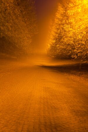 Abstract photo, Alley in the autumn park. photographed with different effects of motion and zoom. Colorful textured background. long shutter speed.の写真素材