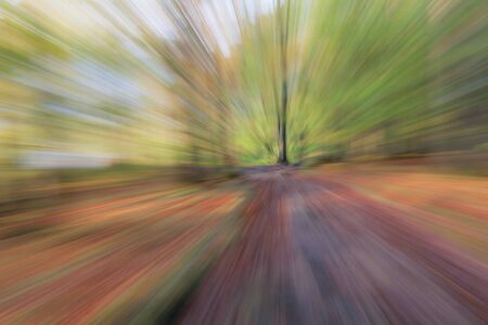 Abstract photo, forest road in summar photographed with different effects of motion and zoom. Colorful textured background. long shutter speed.の写真素材