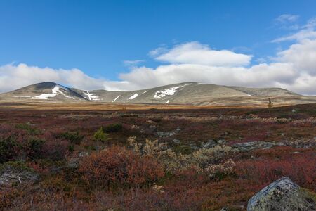 Sarek National Park in northern Sweden in autumn, selective focusの写真素材