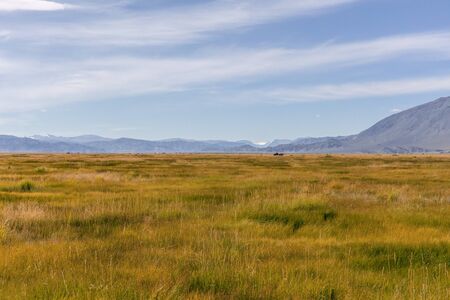 Mongolian landscape, green pastures in the hills of Mongolia.の写真素材