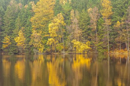 Sunlight in the autumn forest with trees by the water. A hiking trail around the lake. Autumn landscape in Sweden.の写真素材