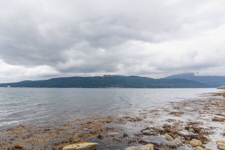 Seagull in cloudy sky. Seagull flying in cloudy sky. Seagull flying over fjord.の写真素材