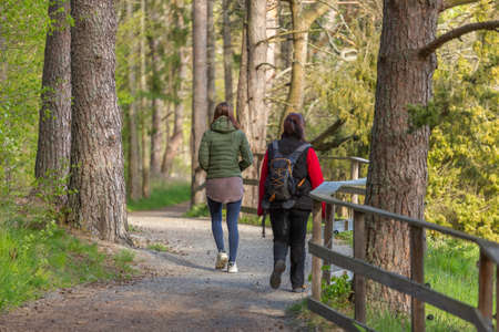 Enkoping, Sweden - Maj 24, 2020: Two women go into the distance along a forest walkwayのeditorial素材