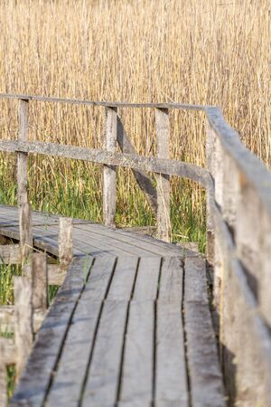 wooden walkway passing in swamps in a national park in Sweden.の写真素材