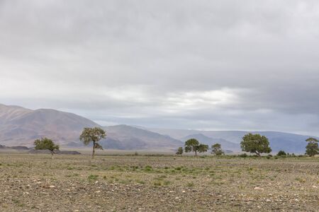 Mongolia landscape. Altai Tavan Bogd National Park in Bayar-Ulgiiの写真素材