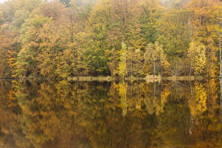 Sunlight in the autumn forest with trees by the water. A hiking trail around the lake. Autumn landscape in Sweden.の写真素材