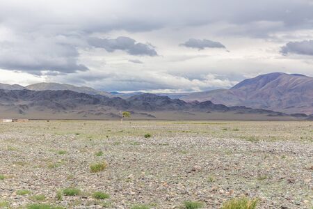 Dry Mongolian landscapes in the Altai Mountains, wide landscape. Rocks hill in steppe of mongoliaの写真素材