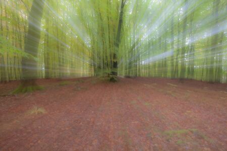 Abstract photo, forest in summer photographed with different effects of motion and zoom. Colorful textured background. long shutter speed.の写真素材