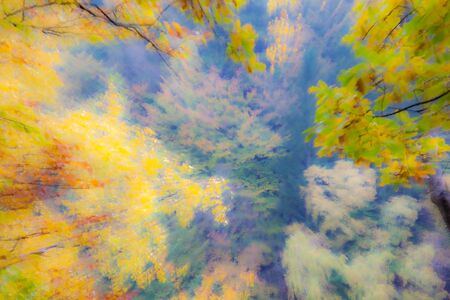 Abstract photo, forest in autumn photographed with different effects of motion and zoom. Colorful textured background. long shutter speed.の写真素材