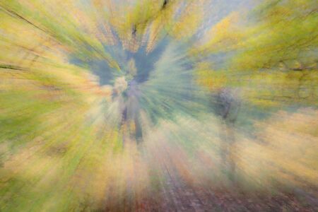 Abstract photo, forest in autumn photographed with different effects of motion and zoom. Colorful textured background. long shutter speed.の写真素材