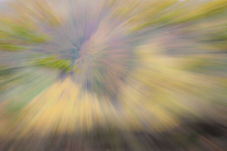 Abstract photo, forest in autumn photographed with different effects of motion and zoom. Colorful textured background. long shutter speed.の写真素材