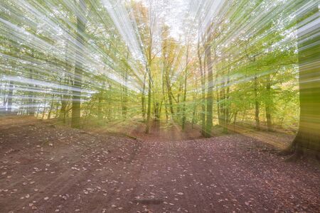 Abstract photo, forest in autumn photographed with different effects of motion and zoom. Colorful textured background. long shutter speed.の写真素材