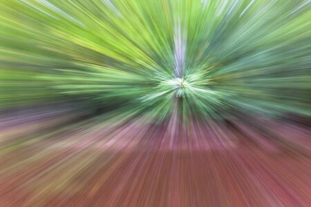 Abstract photo, forest in summer photographed with different effects of motion and zoom. Colorful textured background. long shutter speed.の写真素材