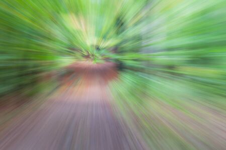 Abstract photo, forest road in summar photographed with different effects of motion and zoom. Colorful textured background. long shutter speed.の写真素材