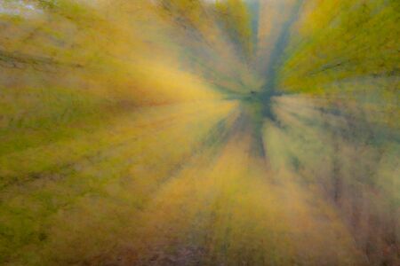 Abstract photo, forest in autumn photographed with different effects of motion and zoom. Colorful textured background. long shutter speed.の写真素材
