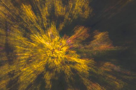Abstract photo, forest in autumn photographed with different effects of motion and zoom. Colorful textured background. long shutter speed.の写真素材