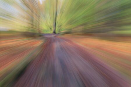 Abstract photo, forest road in summar photographed with different effects of motion and zoom. Colorful textured background. long shutter speed.の写真素材