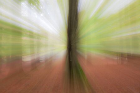 Abstract photo, forest in summer photographed with different effects of motion and zoom. Colorful textured background. long shutter speed.の写真素材