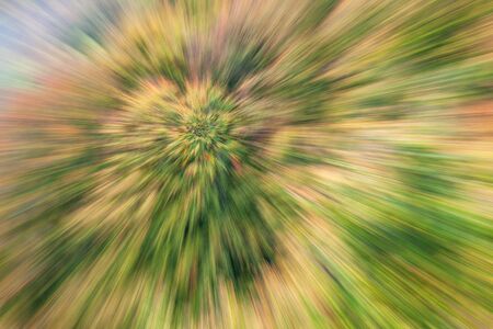 Abstract photo, forest in autumn photographed with different effects of motion and zoom. Colorful textured background. long shutter speed.の写真素材