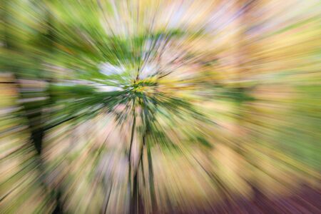 Abstract photo, forest in autumn photographed with different effects of motion and zoom. Colorful textured background. long shutter speed.の写真素材