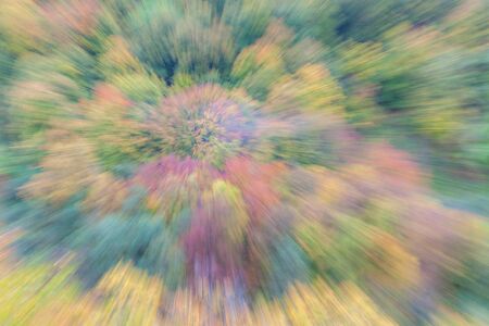 Abstract photo, forest in autumn photographed with different effects of motion and zoom. Colorful textured background. long shutter speed.の写真素材
