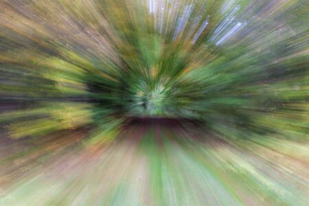 Abstract photo, forest road in summar photographed with different effects of motion and zoom. Colorful textured background. long shutter speed.の写真素材