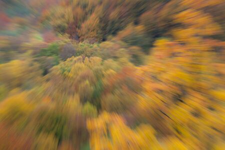 Abstract photo, forest in autumn photographed with different effects of motion and zoom. Colorful textured background. long shutter speed.の写真素材
