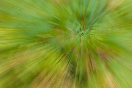 Abstract photo, fern in autumn photographed with different effects of motion and zoom. Colorful textured background. long shutter speed.の写真素材