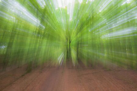 Abstract photo, forest in summer photographed with different effects of motion and zoom. Colorful textured background. long shutter speed.の写真素材