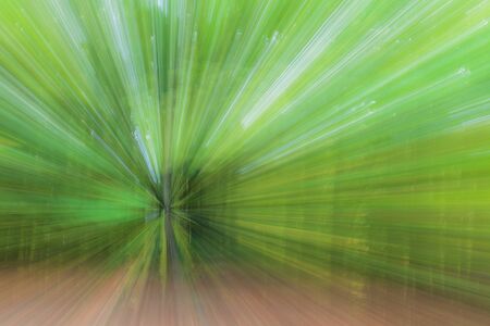 Abstract photo, forest in summar photographed with different effects of motion and zoom. Colorful textured background. long shutter speed.の写真素材
