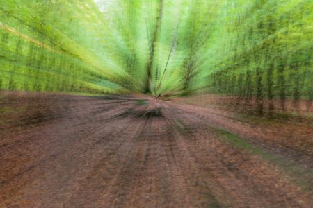 Abstract photo, forest in summar photographed with different effects of motion and zoom. Colorful textured background. long shutter speed.の写真素材