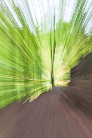 Abstract photo, forest in autumn photographed with different effects of motion and zoom. Colorful textured background. long shutter speed.の写真素材