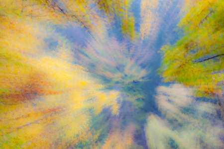 Abstract photo, forest in autumn photographed with different effects of motion and zoom. Colorful textured background. long shutter speed.の写真素材