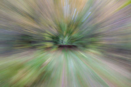 Abstract photo, forest road in summar photographed with different effects of motion and zoom. Colorful textured background. long shutter speed.の写真素材
