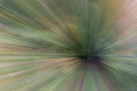 Abstract photo, forest road in summar photographed with different effects of motion and zoom. Colorful textured background. long shutter speed.の写真素材