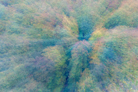 Abstract photo, forest in autumn photographed with different effects of motion and zoom. Colorful...