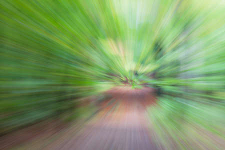 Abstract photo, forest road in summar photographed with different effects of motion and zoom. Colorful textured background. long shutter speed.の写真素材